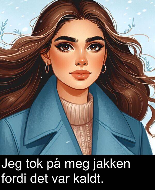 det: Jeg tok på meg jakken fordi det var kaldt.