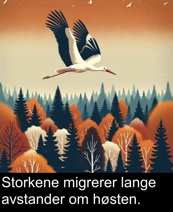 høsten: Storkene migrerer lange avstander om høsten.