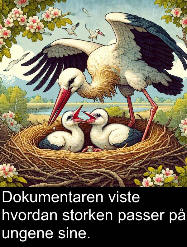 ungene: Dokumentaren viste hvordan storken passer på ungene sine.