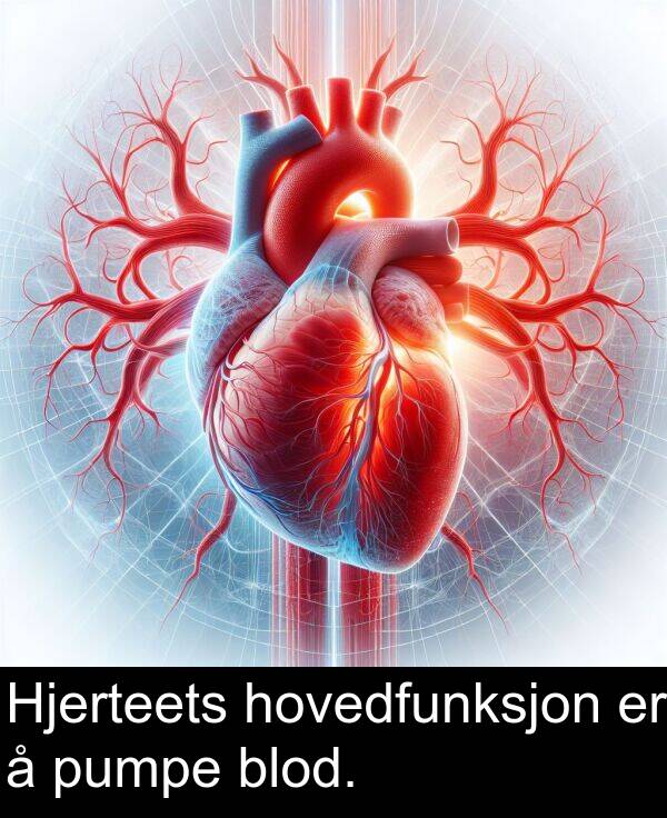 blod: Hjerteets hovedfunksjon er å pumpe blod.