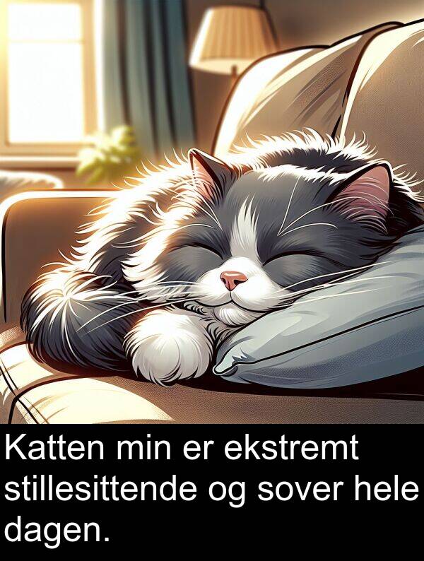 ekstremt: Katten min er ekstremt stillesittende og sover hele dagen.