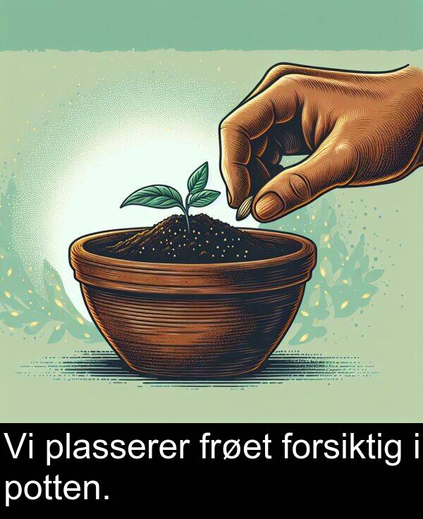 frøet: Vi plasserer frøet forsiktig i potten.