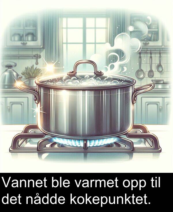 varmet: Vannet ble varmet opp til det nådde kokepunktet.