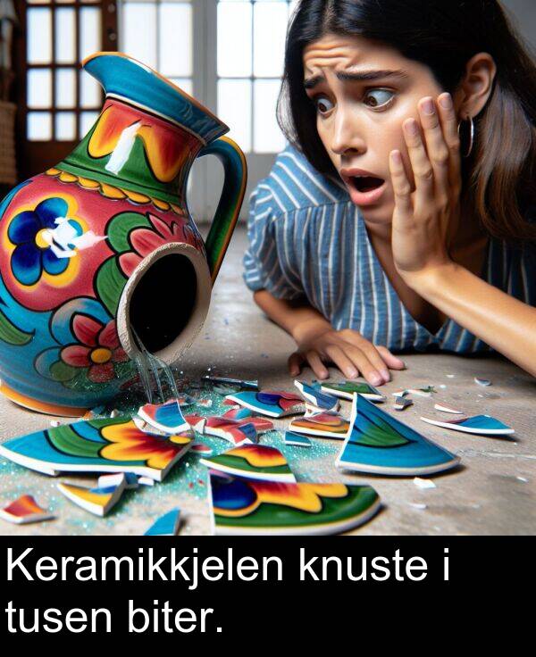knuste: Keramikkjelen knuste i tusen biter.