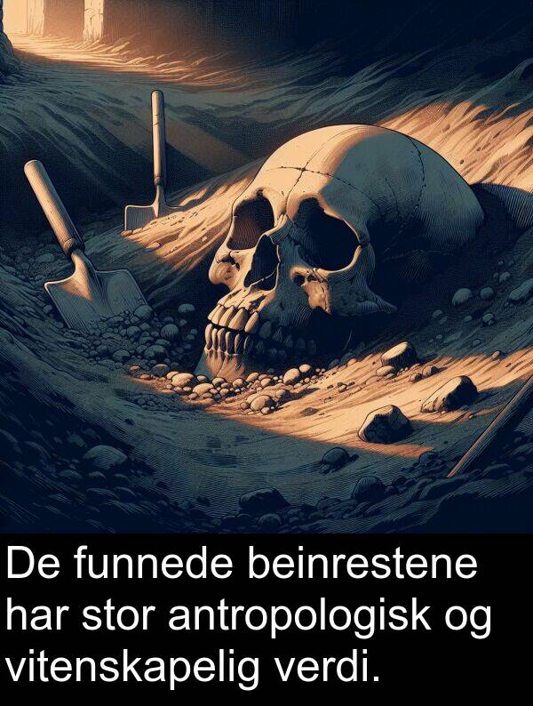 beinrestene: De funnede beinrestene har stor antropologisk og vitenskapelig verdi.