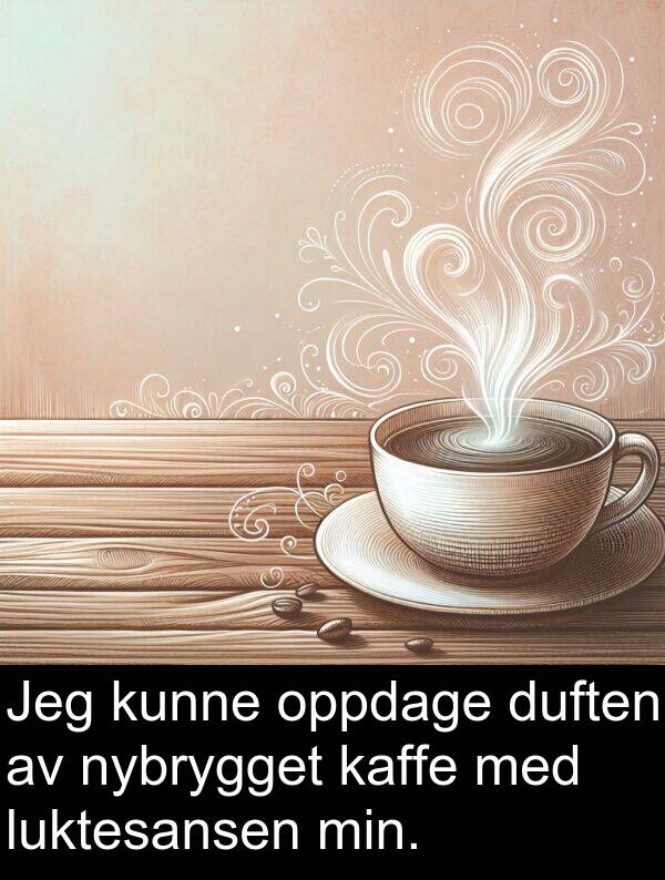 oppdage: Jeg kunne oppdage duften av nybrygget kaffe med luktesansen min.