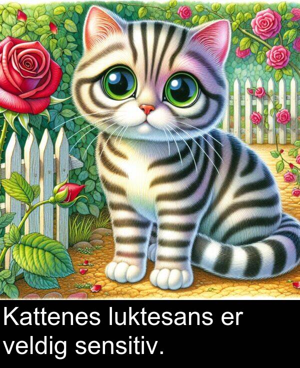 veldig: Kattenes luktesans er veldig sensitiv.
