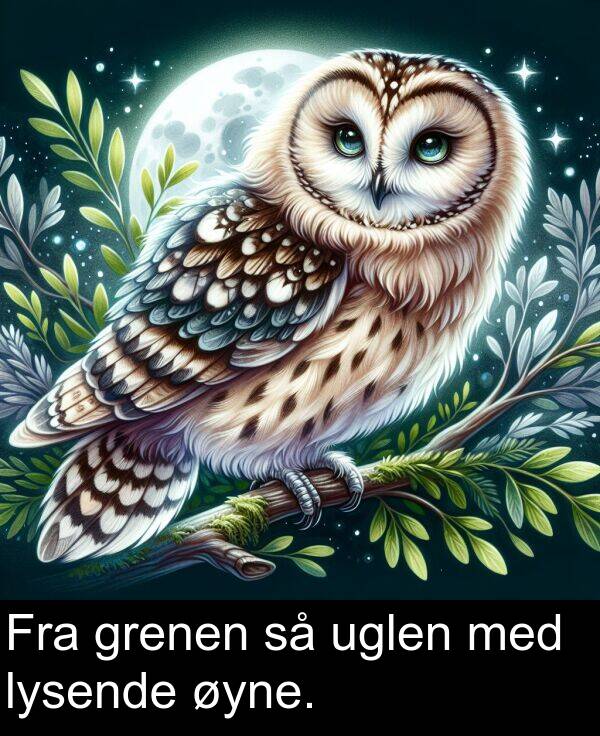 øyne: Fra grenen så uglen med lysende øyne.