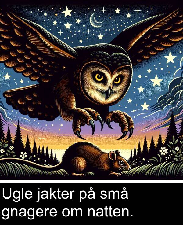 natten: Ugle jakter på små gnagere om natten.