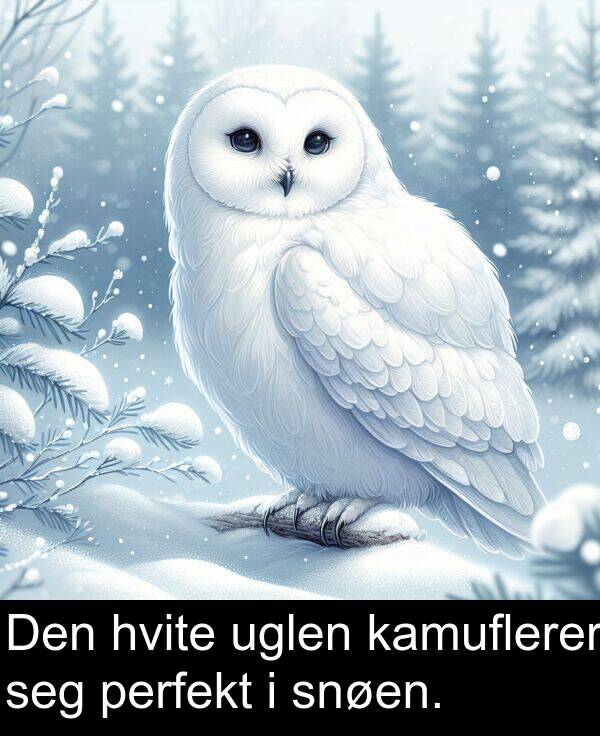 perfekt: Den hvite uglen kamuflerer seg perfekt i snøen.