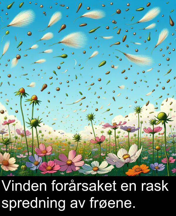 rask: Vinden forårsaket en rask spredning av frøene.