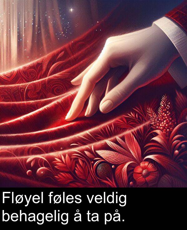 veldig: Fløyel føles veldig behagelig å ta på.