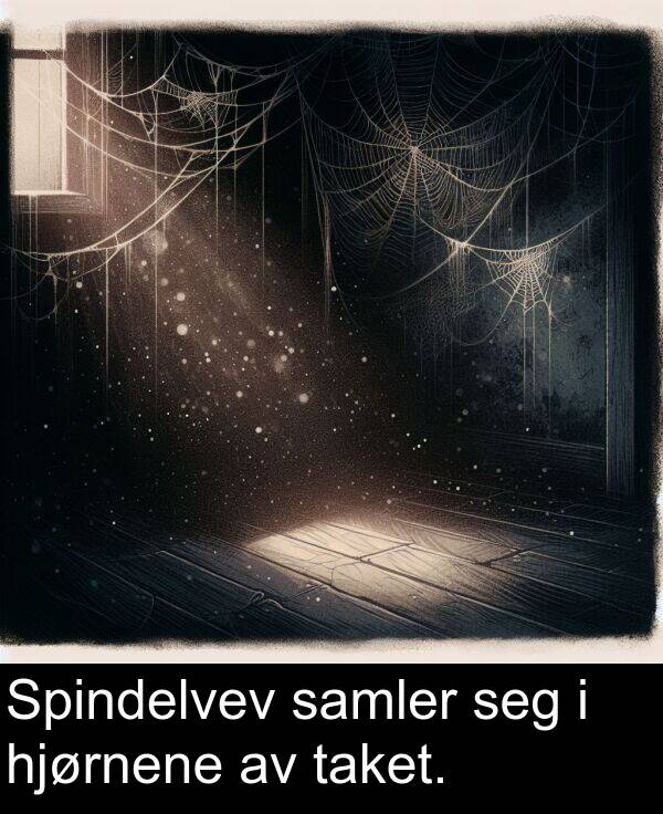 samler: Spindelvev samler seg i hjørnene av taket.