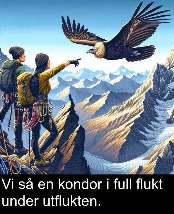 under: Vi så en kondor i full flukt under utflukten.