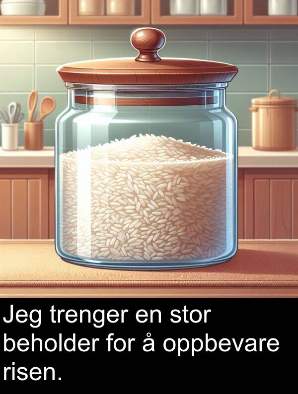 oppbevare: Jeg trenger en stor beholder for å oppbevare risen.