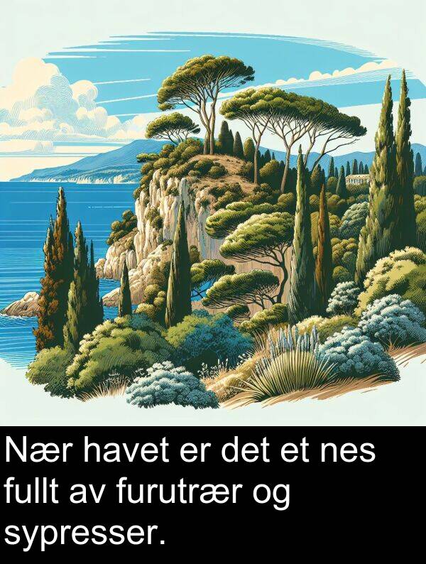 nes: Nær havet er det et nes fullt av furutrær og sypresser.