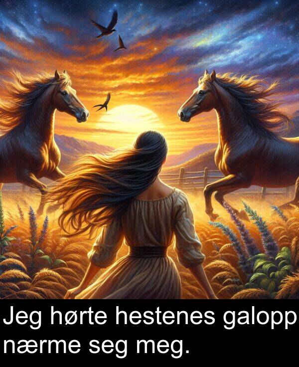 hestenes: Jeg hørte hestenes galopp nærme seg meg.