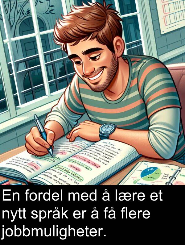 flere: En fordel med å lære et nytt språk er å få flere jobbmuligheter.