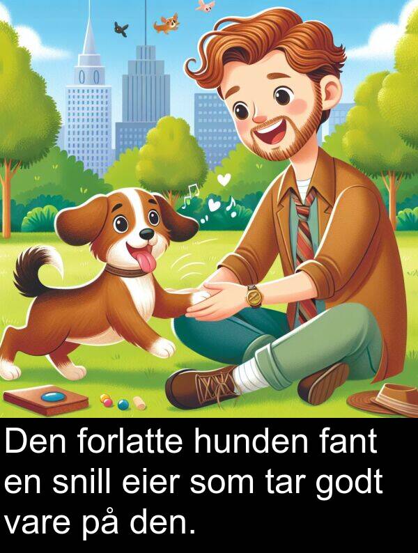 fant: Den forlatte hunden fant en snill eier som tar godt vare på den.