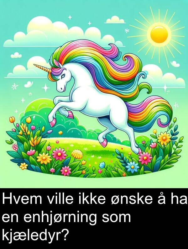 kjæledyr: Hvem ville ikke ønske å ha en enhjørning som kjæledyr?