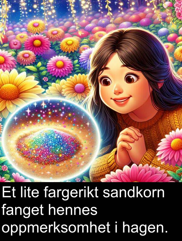 sandkorn: Et lite fargerikt sandkorn fanget hennes oppmerksomhet i hagen.
