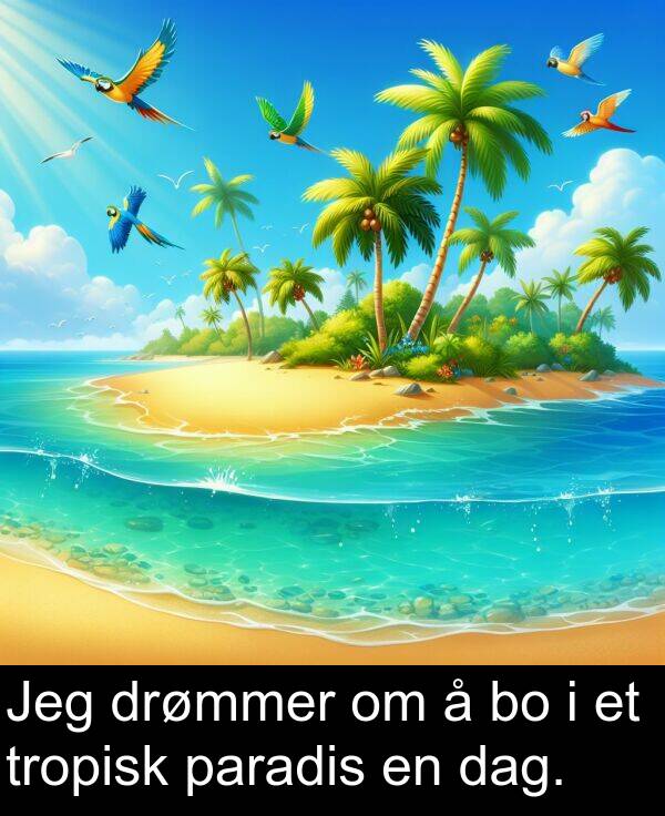 paradis: Jeg drømmer om å bo i et tropisk paradis en dag.