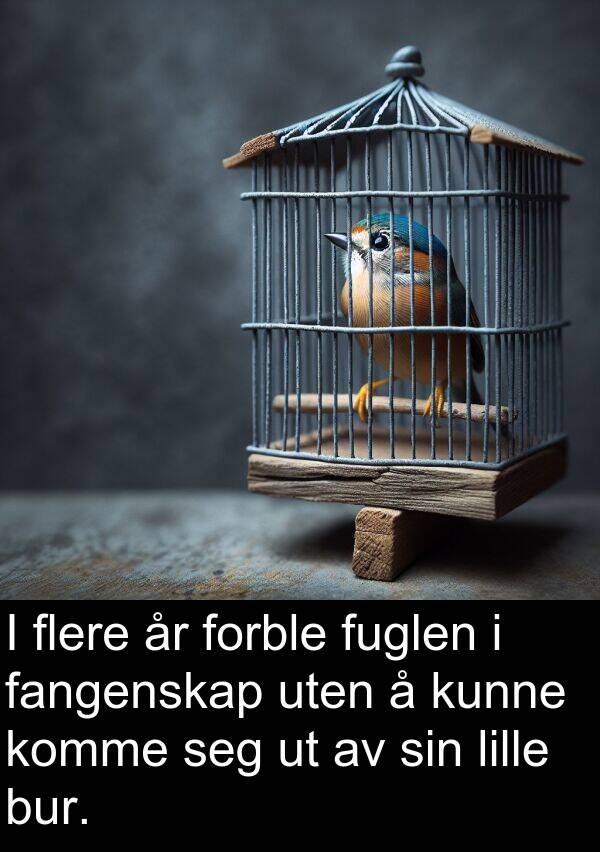uten: I flere år forble fuglen i fangenskap uten å kunne komme seg ut av sin lille bur.