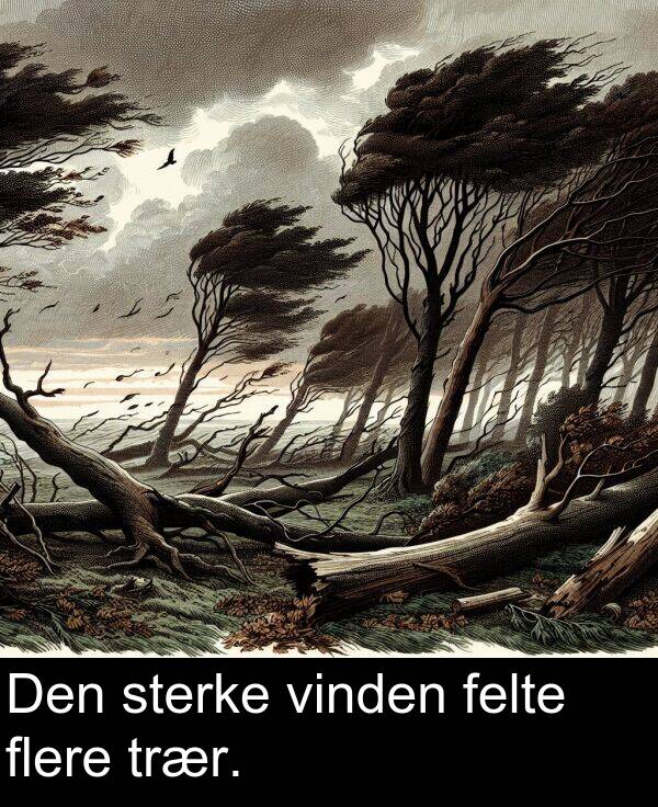 felte: Den sterke vinden felte flere trær.
