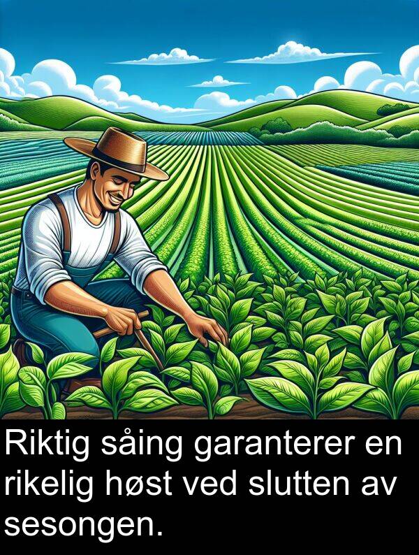 høst: Riktig såing garanterer en rikelig høst ved slutten av sesongen.