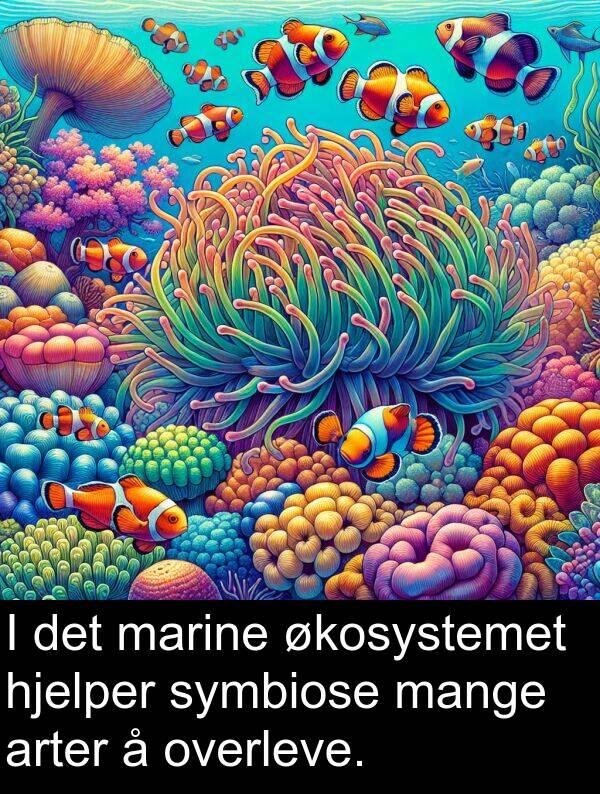 overleve: I det marine økosystemet hjelper symbiose mange arter å overleve.