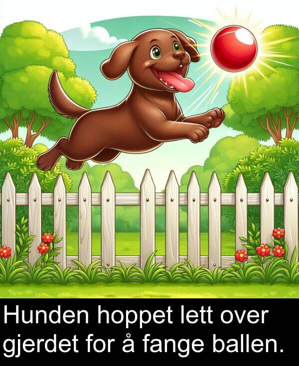 over: Hunden hoppet lett over gjerdet for å fange ballen.