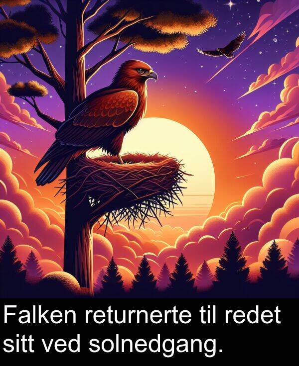 redet: Falken returnerte til redet sitt ved solnedgang.