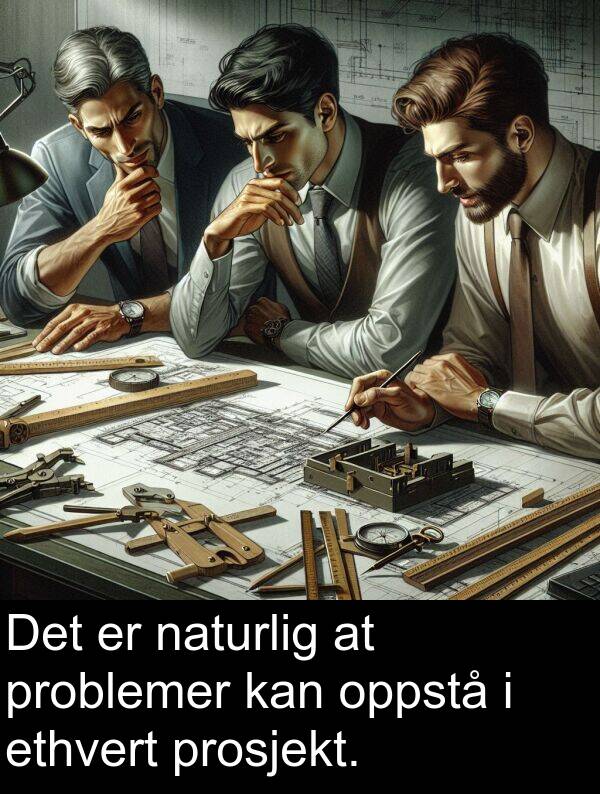 oppstå: Det er naturlig at problemer kan oppstå i ethvert prosjekt.
