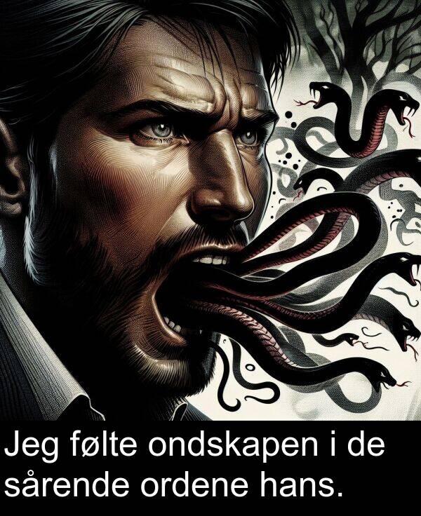 sårende: Jeg følte ondskapen i de sårende ordene hans.