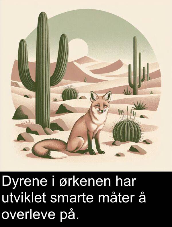 overleve: Dyrene i ørkenen har utviklet smarte måter å overleve på.