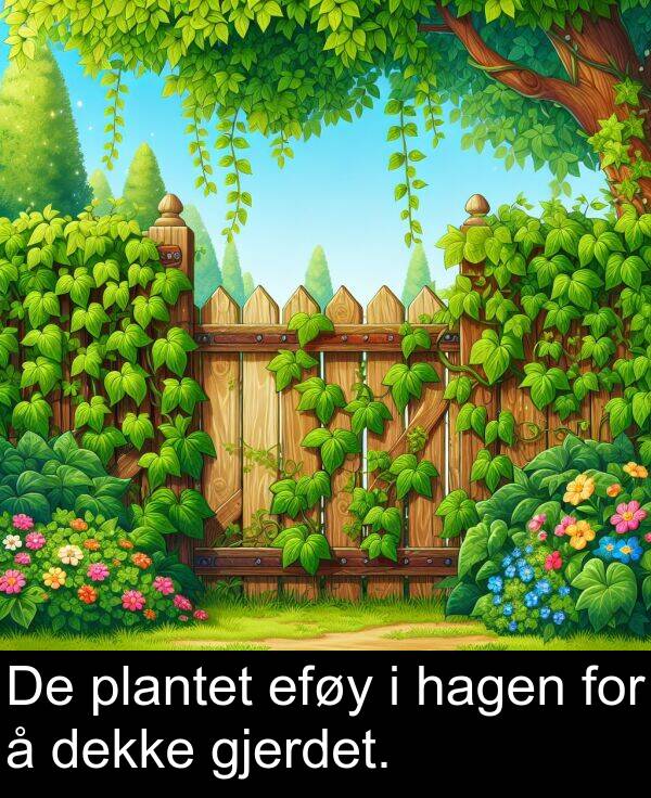 plantet: De plantet eføy i hagen for å dekke gjerdet.