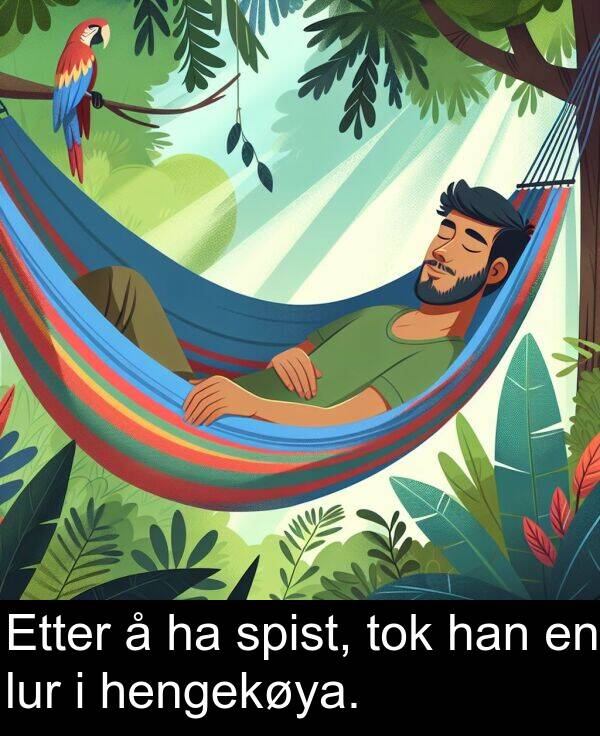 spist: Etter å ha spist, tok han en lur i hengekøya.