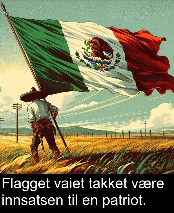 innsatsen: Flagget vaiet takket være innsatsen til en patriot.
