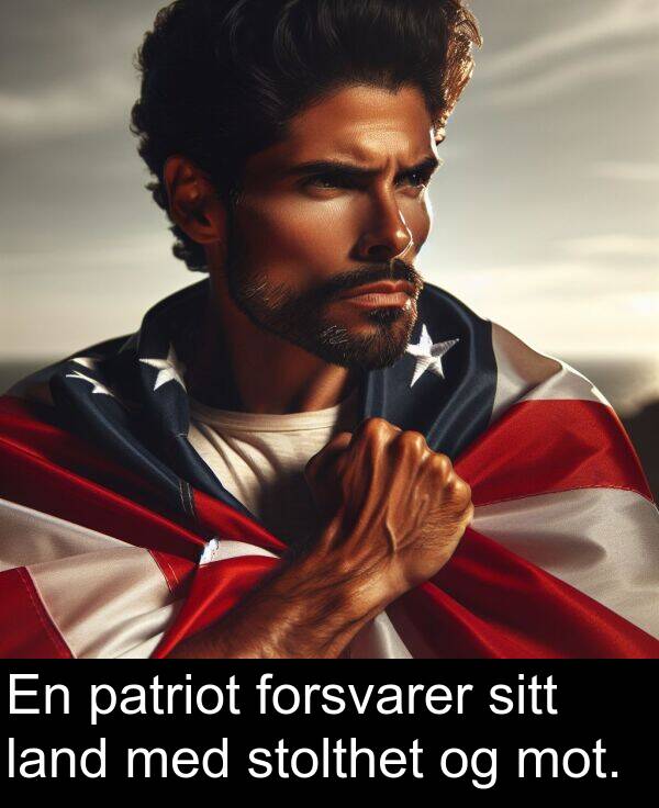 patriot: En patriot forsvarer sitt land med stolthet og mot.