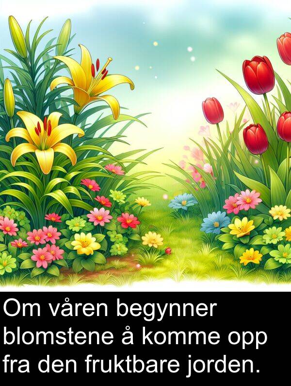 begynner: Om våren begynner blomstene å komme opp fra den fruktbare jorden.