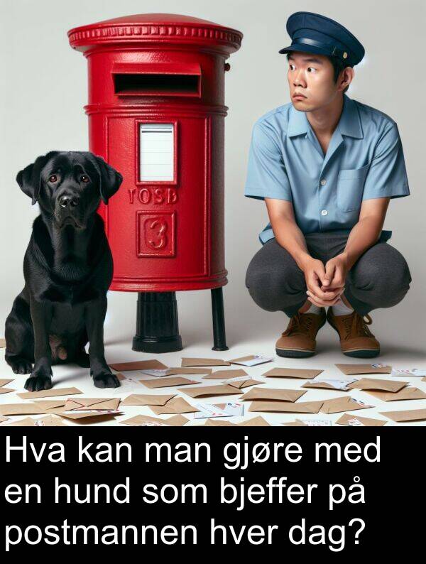 man: Hva kan man gjøre med en hund som bjeffer på postmannen hver dag?