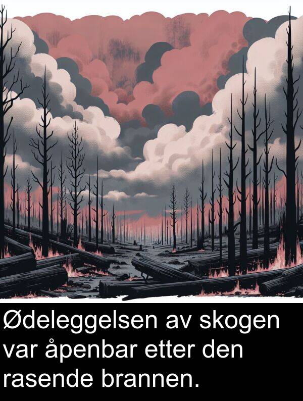 skogen: Ødeleggelsen av skogen var åpenbar etter den rasende brannen.