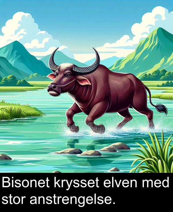 anstrengelse: Bisonet krysset elven med stor anstrengelse.