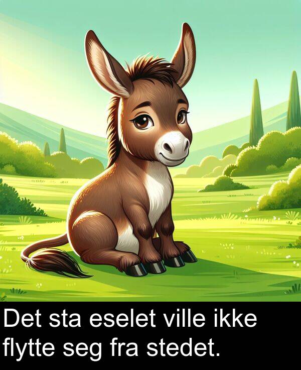 flytte: Det sta eselet ville ikke flytte seg fra stedet.