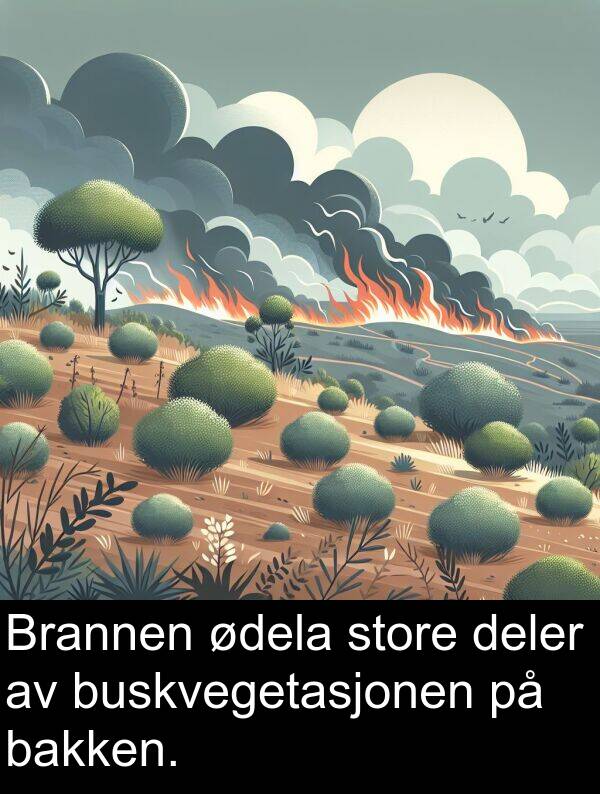 bakken: Brannen ødela store deler av buskvegetasjonen på bakken.