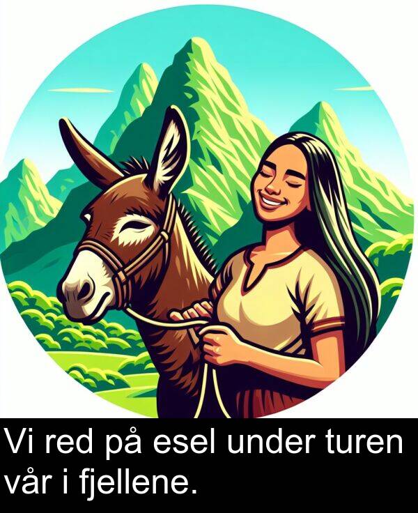 fjellene: Vi red på esel under turen vår i fjellene.