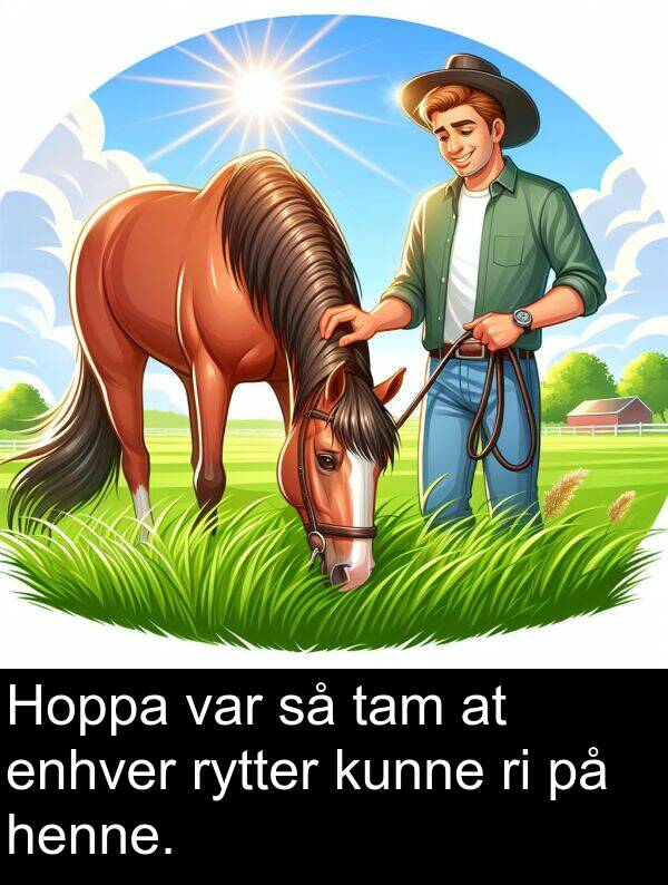 rytter: Hoppa var så tam at enhver rytter kunne ri på henne.