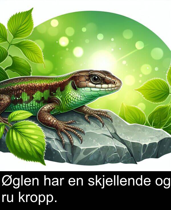 har: Øglen har en skjellende og ru kropp.