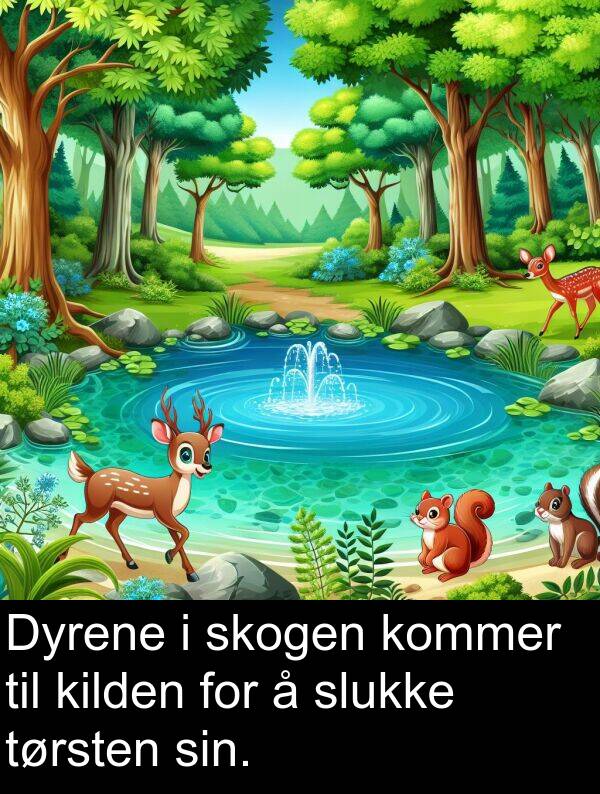 skogen: Dyrene i skogen kommer til kilden for å slukke tørsten sin.