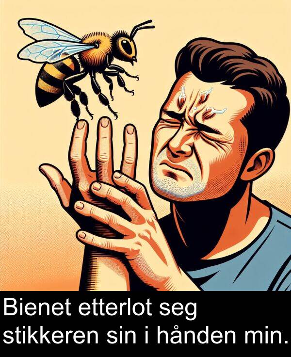 etterlot: Bienet etterlot seg stikkeren sin i hånden min.